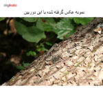 دوربین عکاسی کانن مدل EOS 70D+لنزSTM 18-135 میلی متر