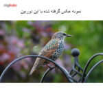 دوربین عکاسی دیجیتال کانن مدل EOS 1200D Plus 18-55 III