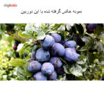 دوربین عکاسی دیجیتال کانن مدل EOS 1200D Plus 18-55 III