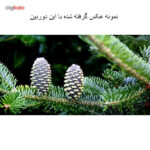 دوربین عکاسی دیجیتال کانن مدل EOS 1200D Plus 18-55 III