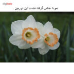 دوربین عکاسی دیجیتال کانن مدل EOS 1200D Plus 18-55 III