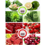 رینگ لایت مدل MJ18