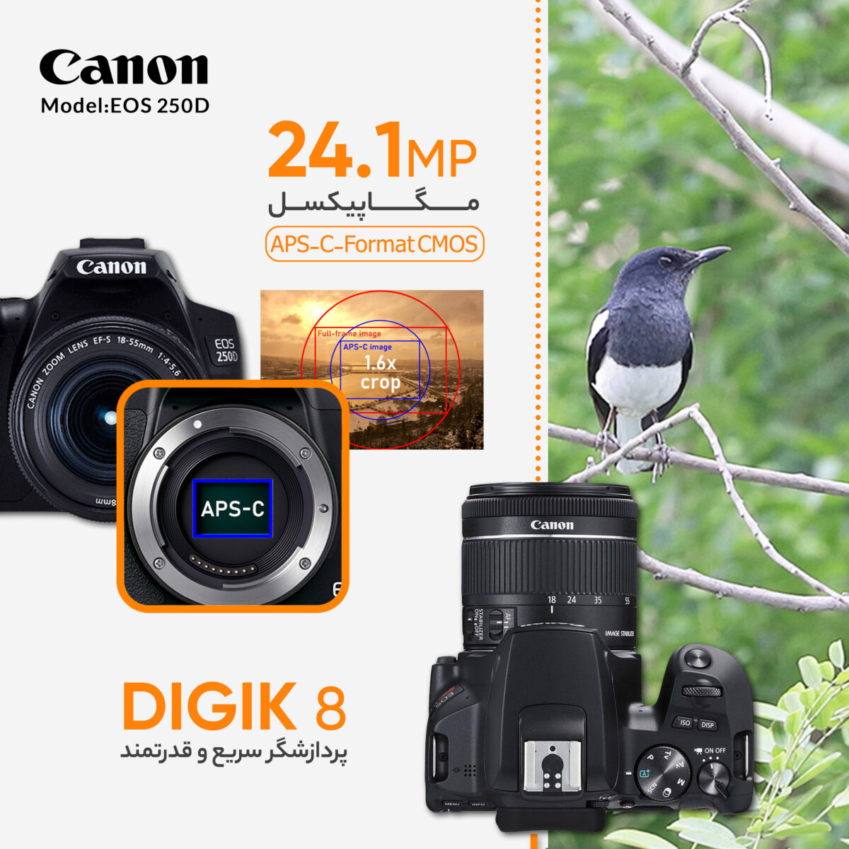 دوربین دیجیتال کانن مدل EOS 250D به همراه لنز 55-18 میلی متر IS STM