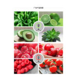 رینگ لایت مدل LJJ-30RGB