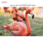 دوربین دیجیتال نیکون مدل D7200 به همراه لنز 18-140 میلی متر
