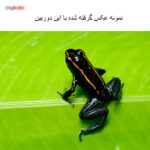 دوربین دیجیتال نیکون مدل D7100 به همراه لنز 18-140 میلی متر