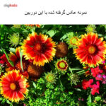 دوربین دیجیتال نیکون مدل D3300 به همراه لنز 18-55 میلی متر VR AFP