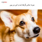 دوربین دیجیتال نیکون D610 بدنه تنها