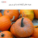 دوربین دیجیتال نیکون D610 بدنه تنها