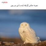 دوربین دیجیتال نیکون D610 بدنه تنها