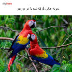 دوربین دیجیتال نیکون مدل D7100 kit 18-55