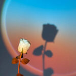 نور ثابت ال ای دی مدل SUNSET RGB B