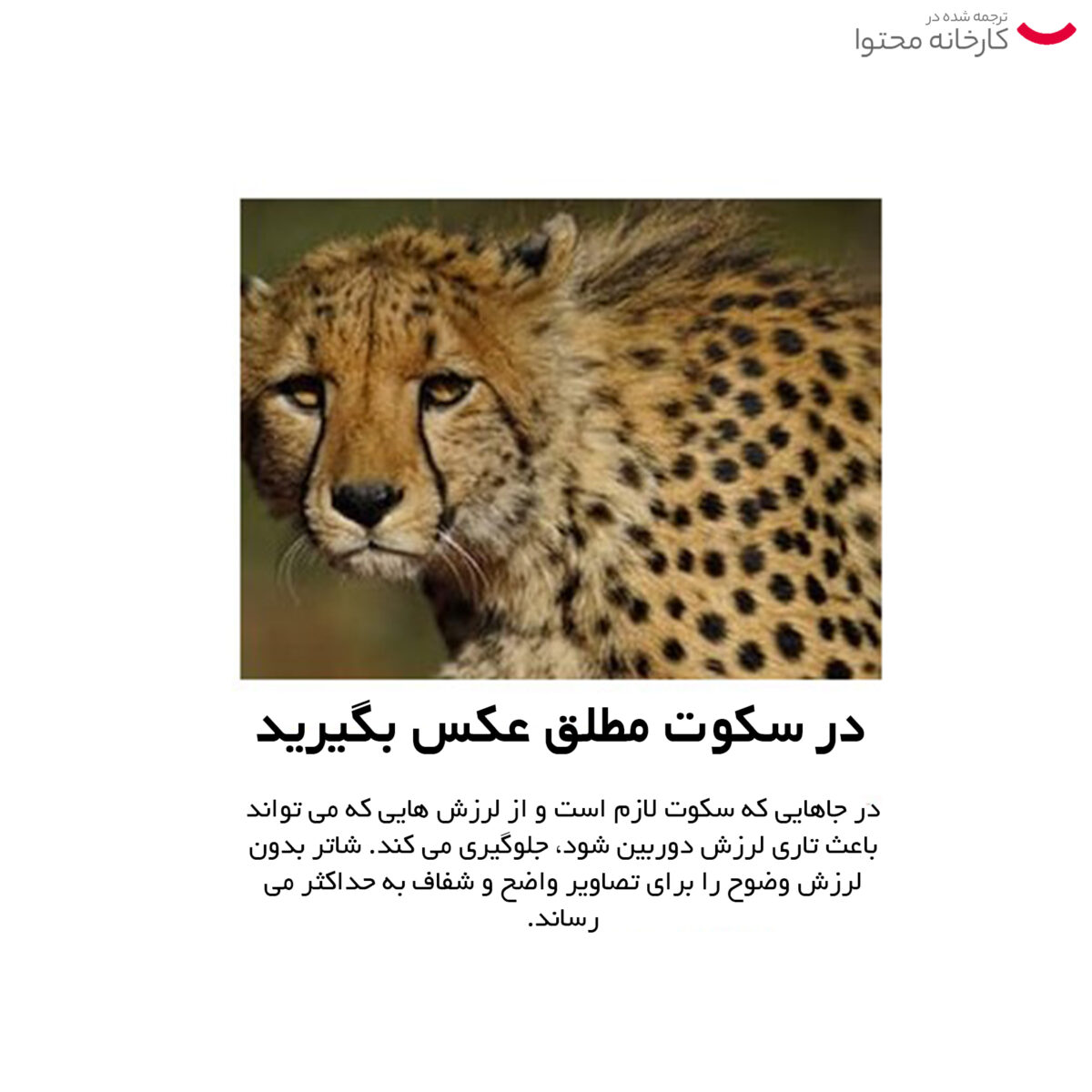 دوربین دیجیتال بدون آینه سونی مدل A7r iv