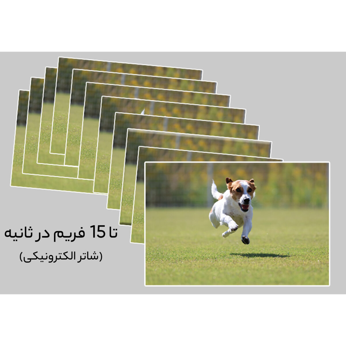 دوربین دیجیتال کانن مدل EOS R50 RF BODY