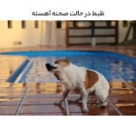 دوربین دیجیتال کانن مدل EOS R50 RF-S 18-45MM