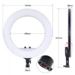 رینگ لایت  مدل RL-21 Ring Light به همراه سه پایه